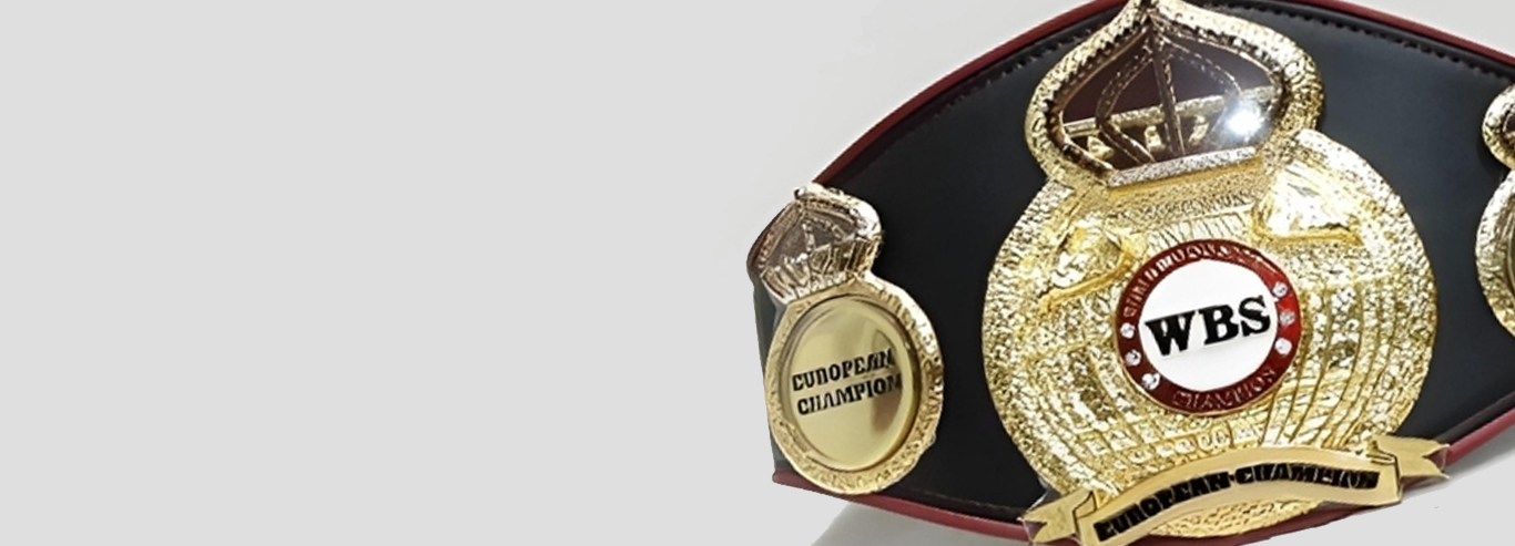 WELCOME OFFICIAL WBS PAGE